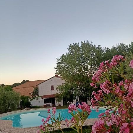 Agriturismo La Locandiera Montemerano Exterior photo