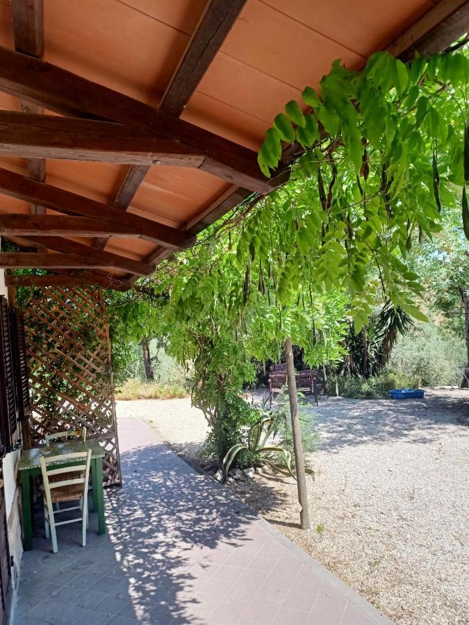 Agriturismo La Locandiera Montemerano Exterior photo